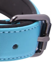 Blue leather dog collar