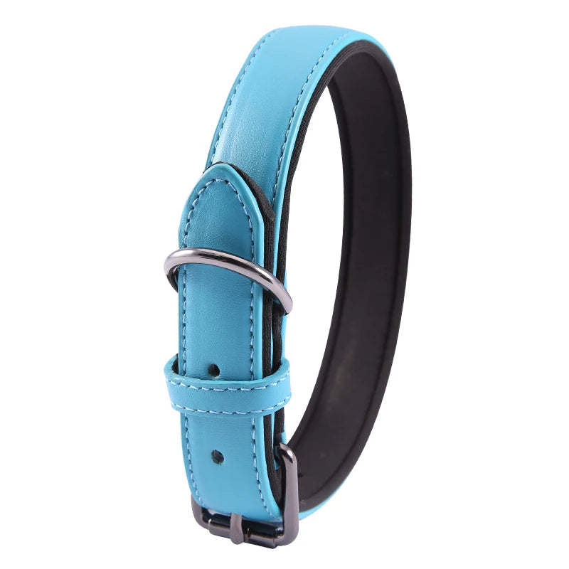 Blue leather dog collar