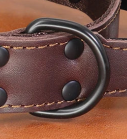 Leather dog collar quick release