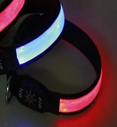 Night glow dog collar