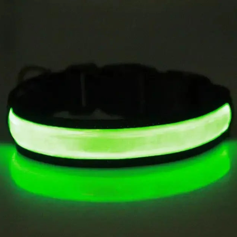 Waterproof light up dog collar