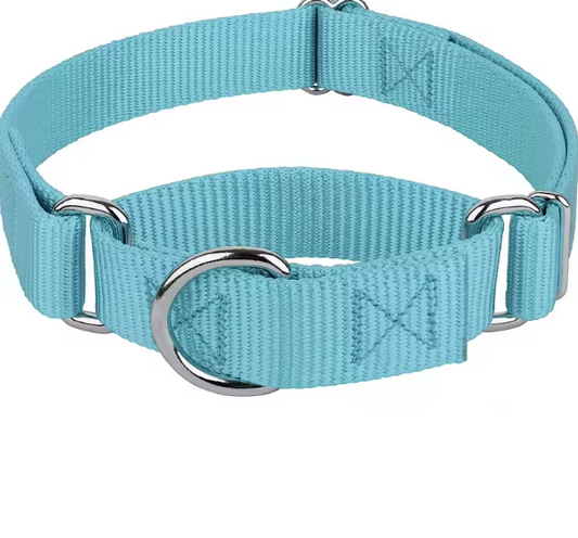 Teal martingale dog collar