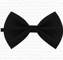 Dog bow tie collar attachment