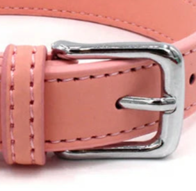 Adjustable leather dog collar