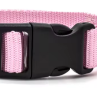 Baby pink puppy collar