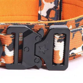 Orange camouflage dog collar