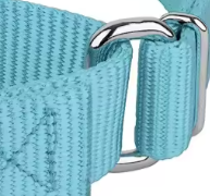 Teal martingale dog collar