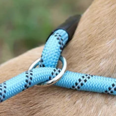 Rope chocker dog collar