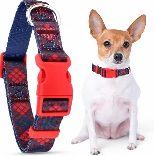 Scottish tartan dog collar