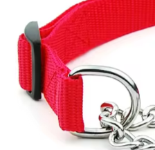 Half check dog collar with snap fastener