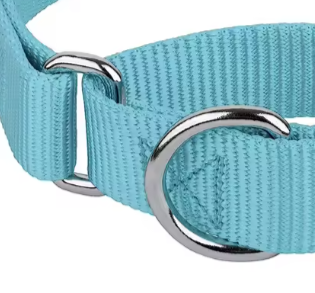 Teal martingale dog collar