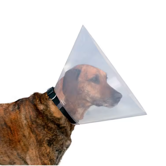 large dog cone collar