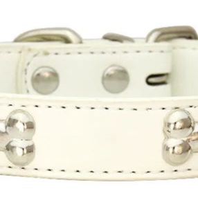 White leather dog collar