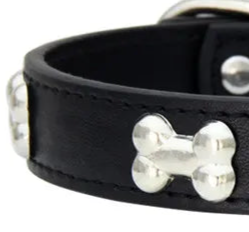 XS leather dog collar