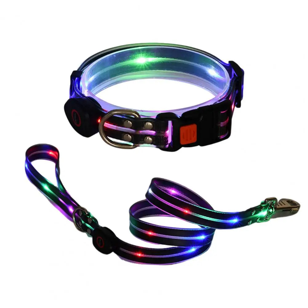 LED dog collar and leash