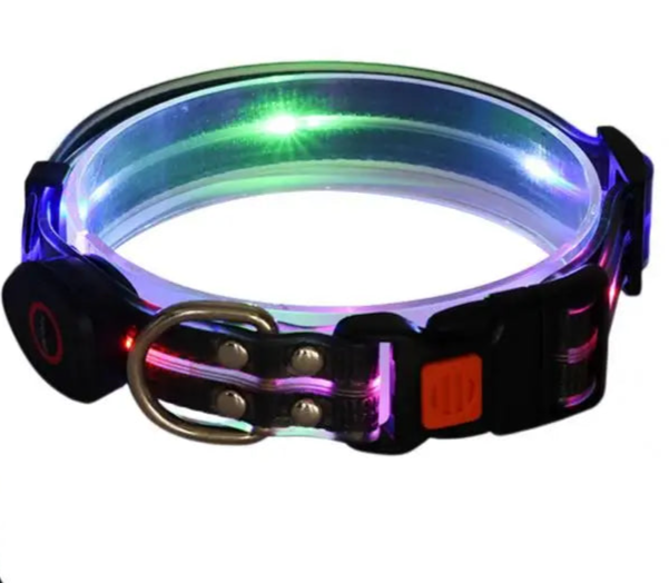 LED dog collar and leash