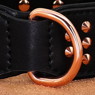 Black studded dog collar