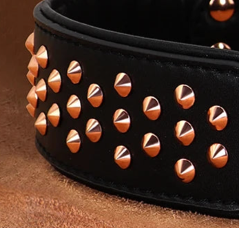 Black studded dog collar