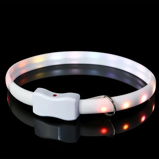 Glowing collar