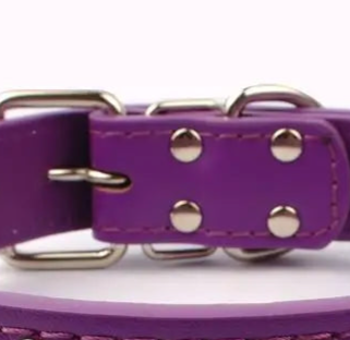 Purple leather spiked dog collar