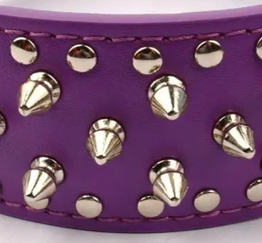 Purple leather spiked dog collar