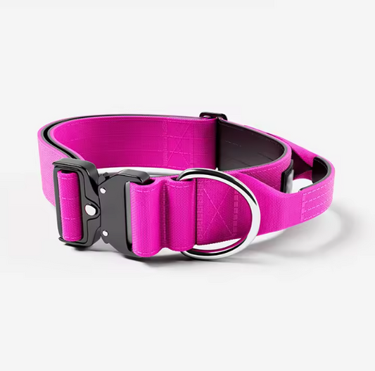 Small pink dog collar