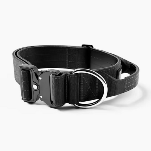 Black tactical dog collar