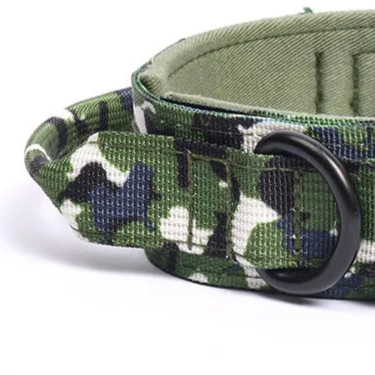 Camouflage dog collar