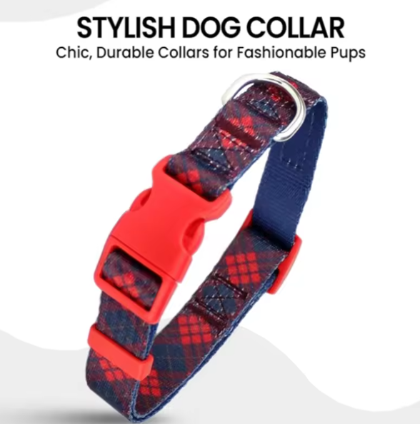 Scottish tartan dog collar