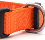 Orange puppy collar