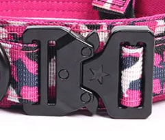 Funky dog collar