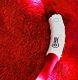 Light up puppy collar