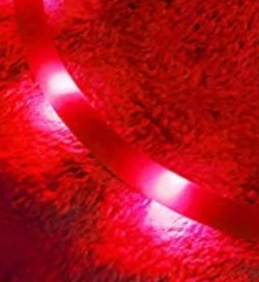 Light up puppy collar