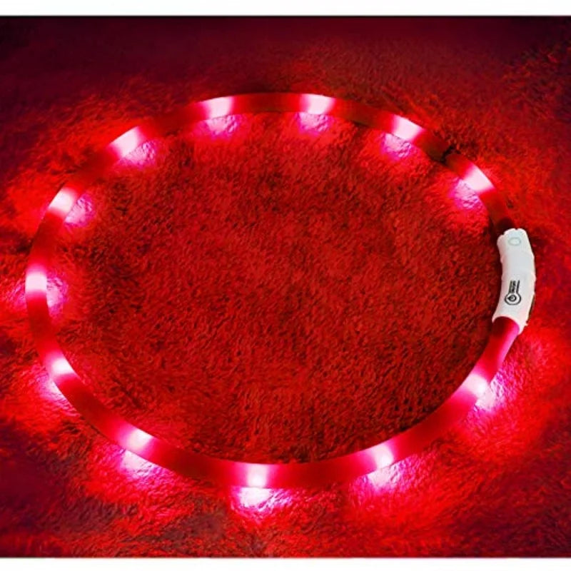 Light up puppy collar