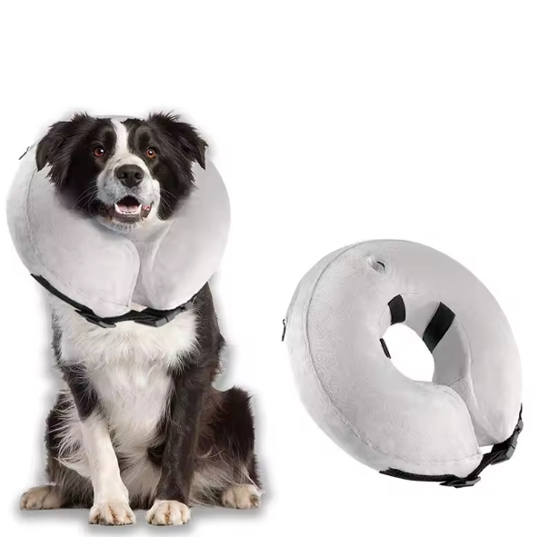 Inflatable vet collar