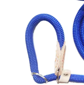 Male dog collar and lead